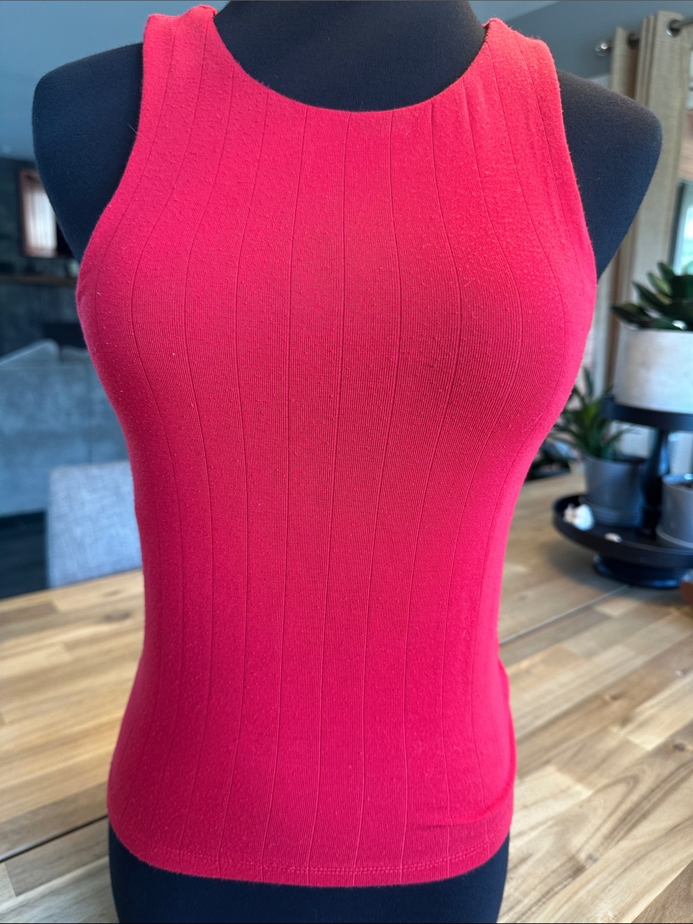 ZSupply lounge Red tank top